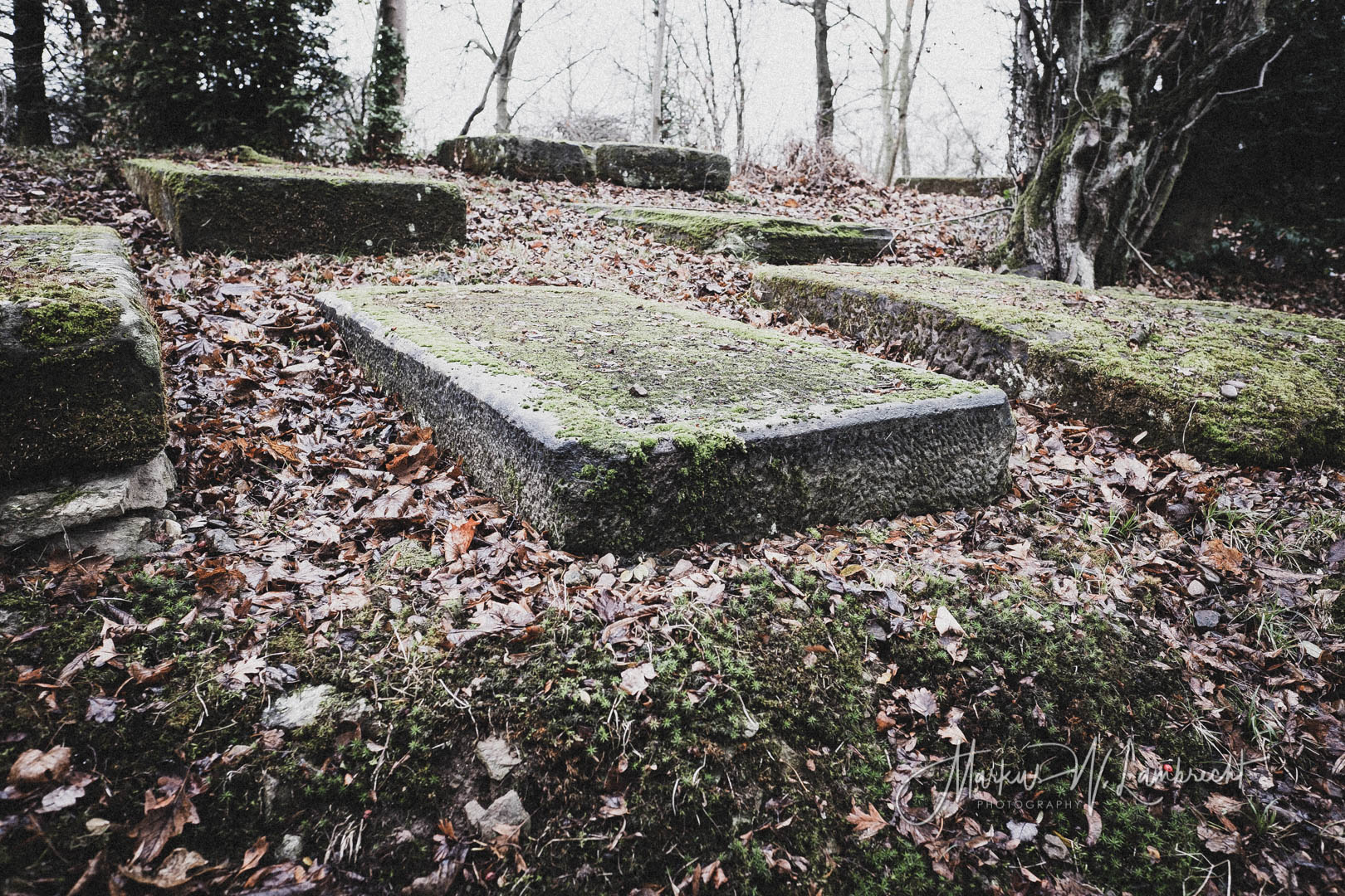 Bovenden, Jüdischer Friedhof